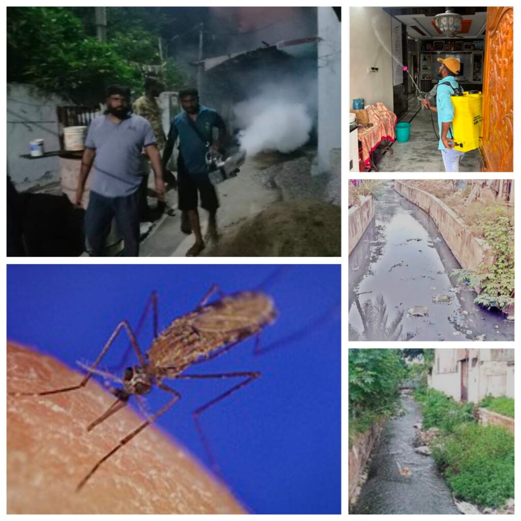 మున్సిపల్ పరిధిలోని అన్ని వార్డులలో పట్టిపీడిస్తున్న విషజ్వరాలు