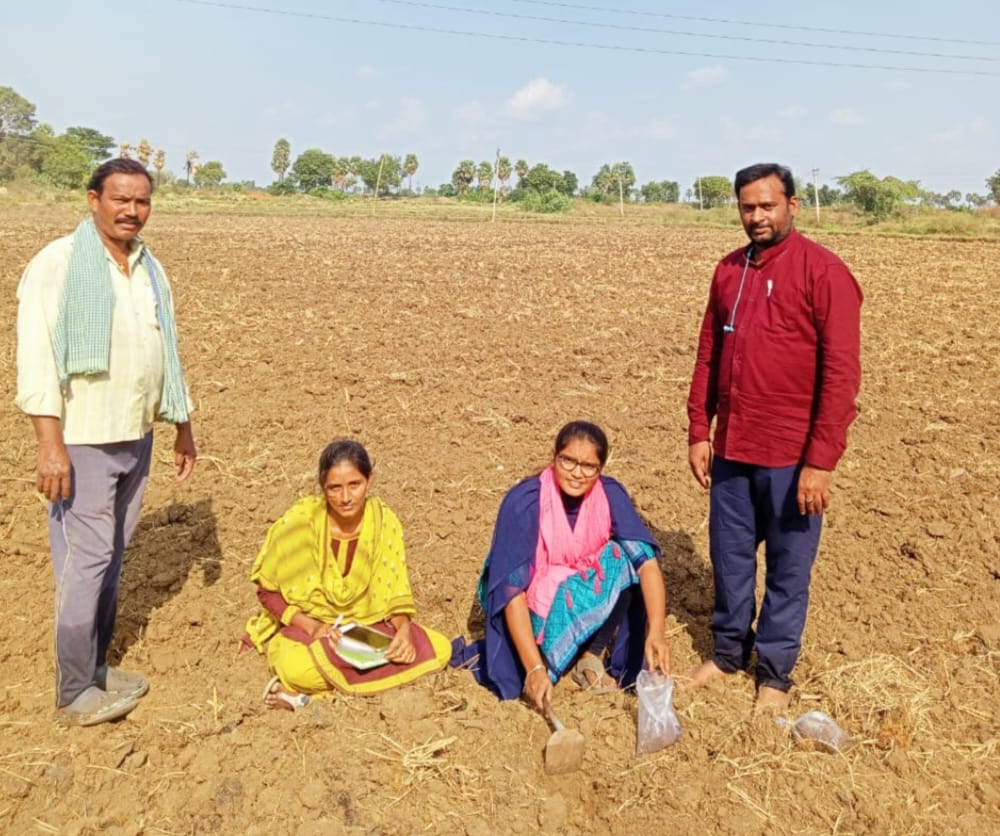 మట్టి నమూనాల సేకరణ