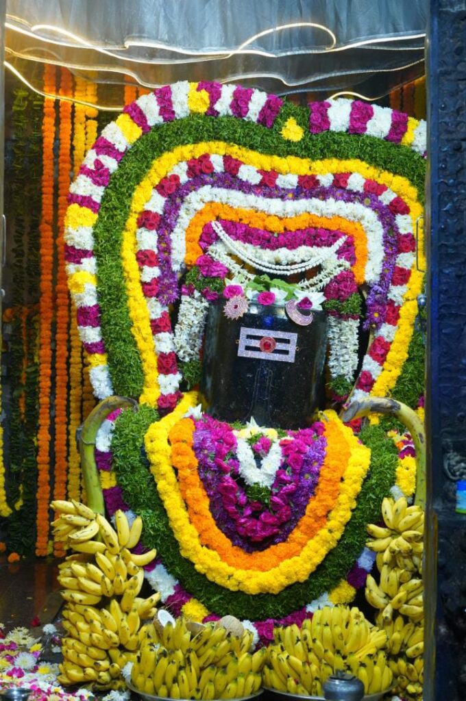 ఓం నమ: శివాయ నామస్మరణతో మారుమోగిన పిల్లలమర్రి శివాలయాలు 