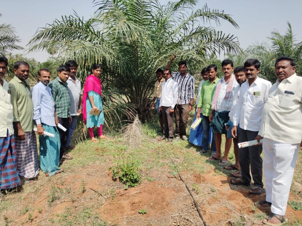 ఆయిల్ ఫామ్ సాగుపై రైతులకు అవగాహన సదస్సు   