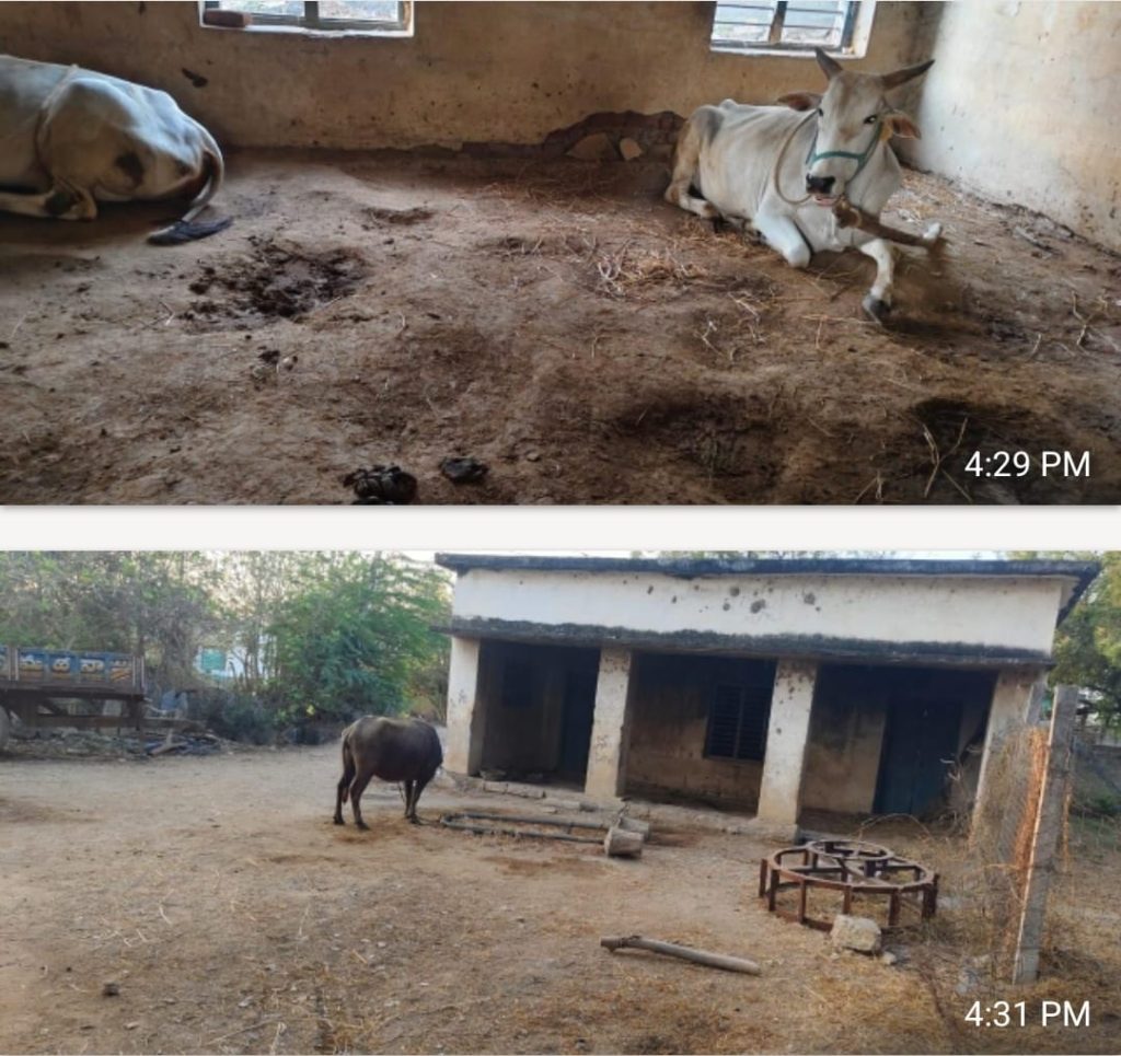 పాత పాఠశాల భవనం ఎక్కడ